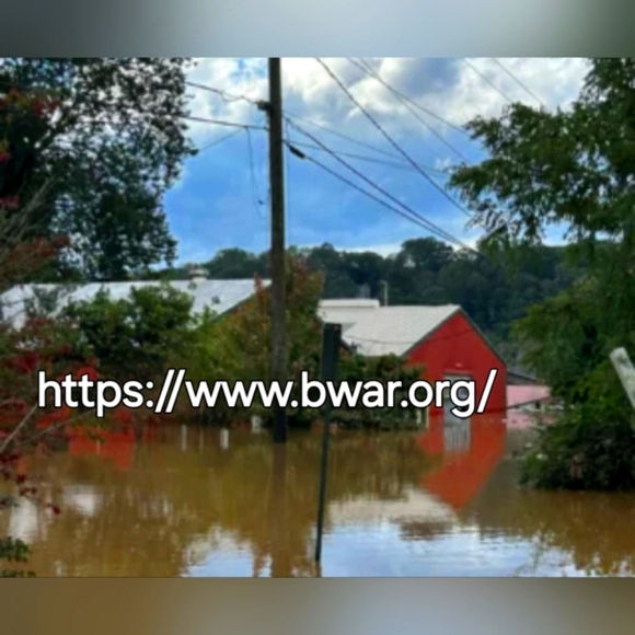 Rescue Updates. - Picture 7 of 13